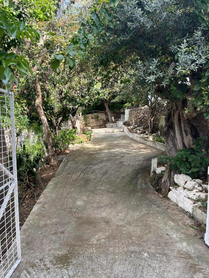 Aegean Summer House Poros Town 外观 照片