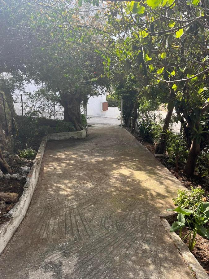 Aegean Summer House Poros Town 外观 照片